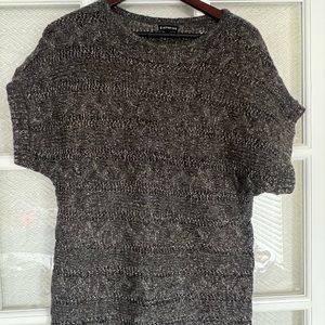 Express Shimmer Sweater